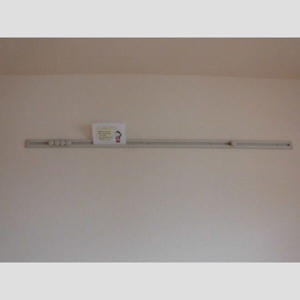 サニーリヴ　A303号室 ハングバー