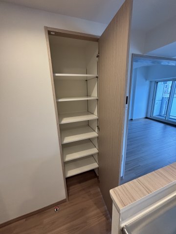 ＬＡＳＡ大崎Ⅴ0207号室 収納