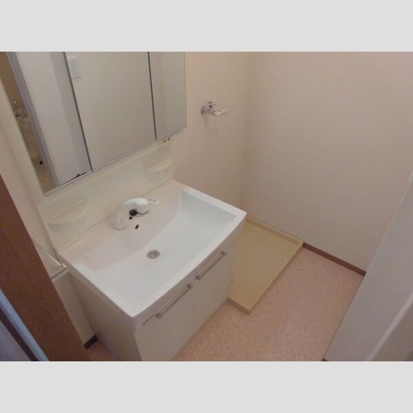 カネダイハウス3 洗面