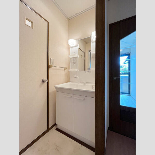 ルードルフィアタウンズ　B102号室 洗面