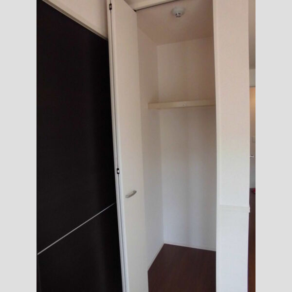 アクシスふじみ野　Ⅰ クローゼット(LDK)