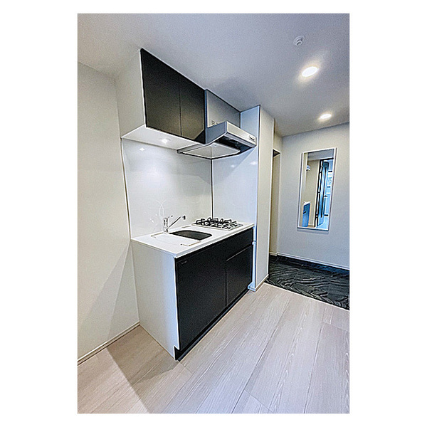 GRAN PASEO 四谷若葉0210号室 部屋その他
