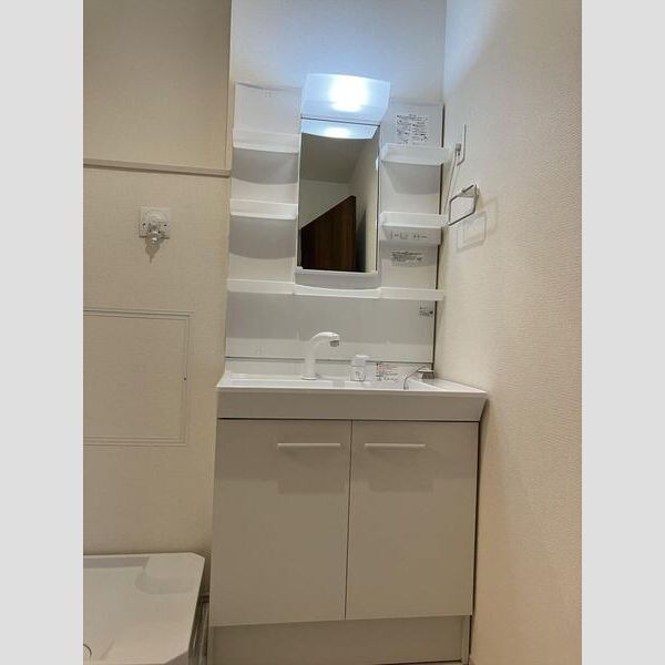 リーブルファイン志木上宗岡204号室 洗面