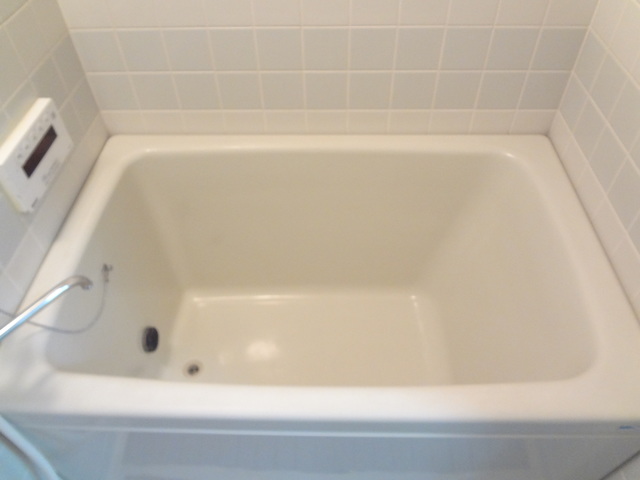 アクタアワーズレジデンス富士見台0206号室 お風呂
