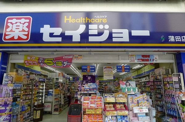 ステージグランデ蒲田Ⅱ4階 くすりセイジョー蒲田店