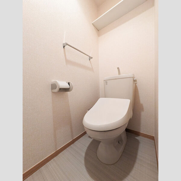 ルインズ・イン・マルヤマ　ABCDEFE103号室 トイレ