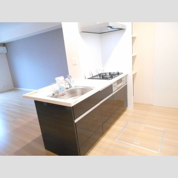 ソシアⅡ103号室 103 システムキッチン