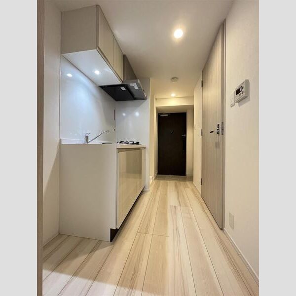 S-RESIDENCE板橋大山1102号室 リビング