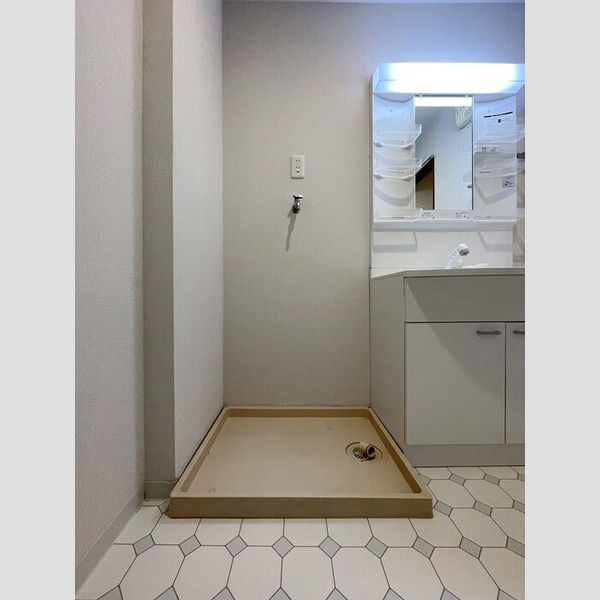 ハイカムール駒形202号室 室内洗濯機置き場