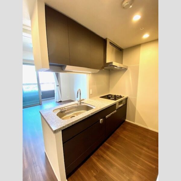 パークシティ大崎 ザ タワー(2020) 2020号室システムキッチン