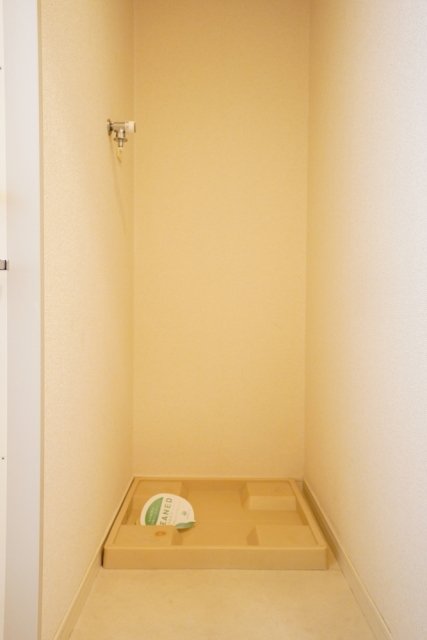 レガリアタワーレジデンス 室内洗濯機置場