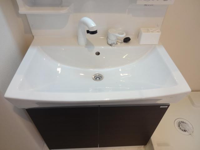 ＳＴＥＬＬＡ　ＫＯＵＳＥＩ（ステーラ　コーセイ）202号室 洗髪洗面化粧台