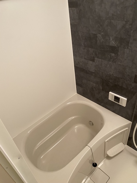 ＣＡＳＡ上野毛 お風呂