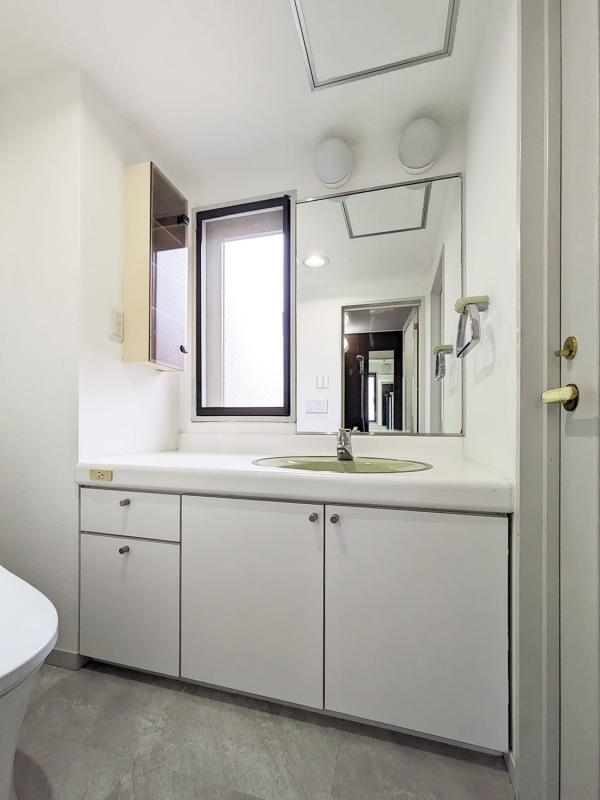 ハウス東雪谷2階 洗面所