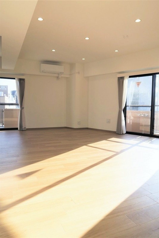 DeLCCS山吹神楽坂 リビング