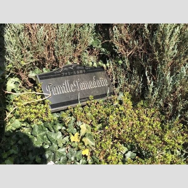 ファミール多摩平205号室 看板