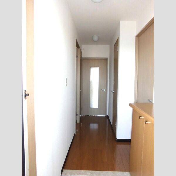 リブラ川崎302号室 部屋その他