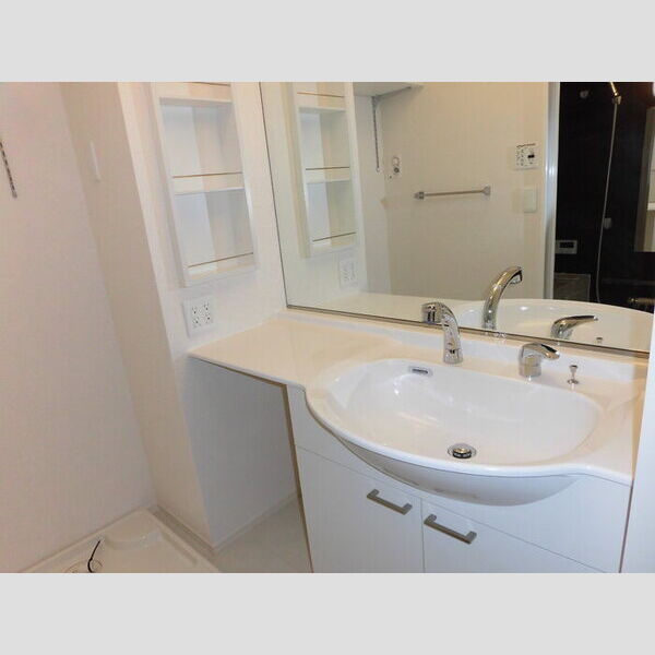 ピア メゾン203号室 洗面室