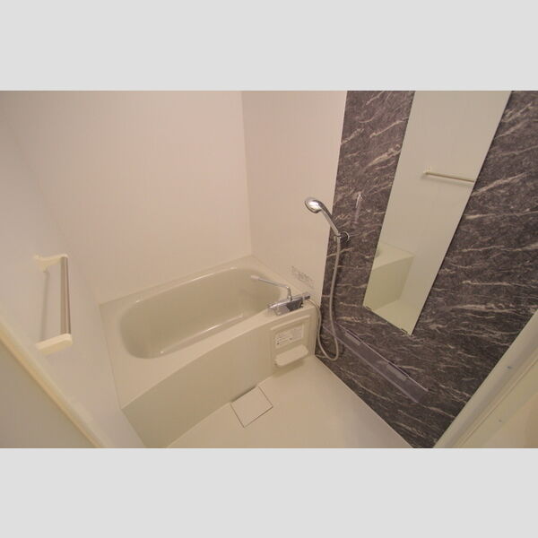 リビングヴィレッジ新柴又206号室 お風呂
