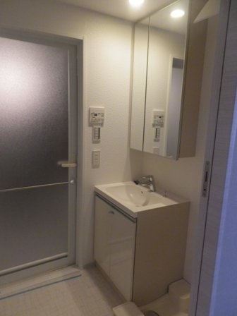 DIPS墨田EAST202号室 洗面
