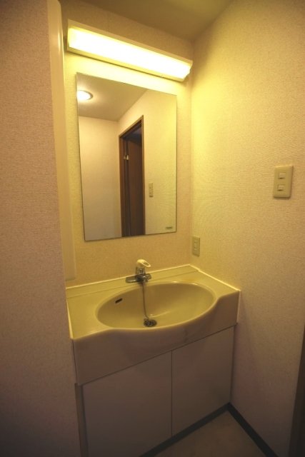 メゾン・ド・ヴィレ高輪 洗面