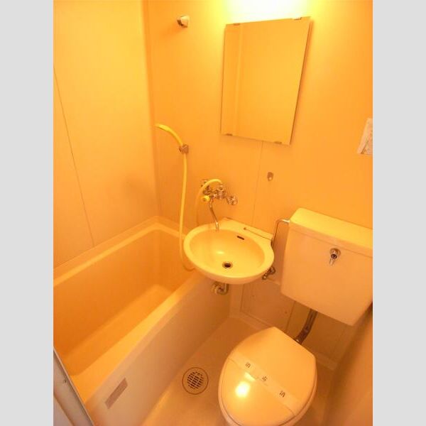 淵野辺アーバンハイツ401号室 部屋その他