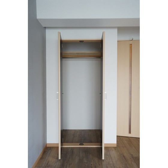 プレミアムバリュー板橋徳丸0101号室 クローゼット