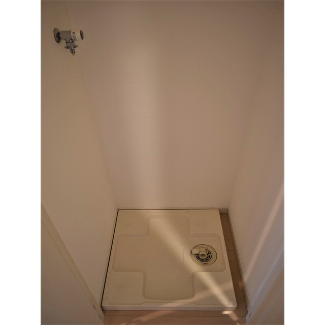 ヒューマンハイム亀戸ＩＩ1001号室 室内洗濯機置場