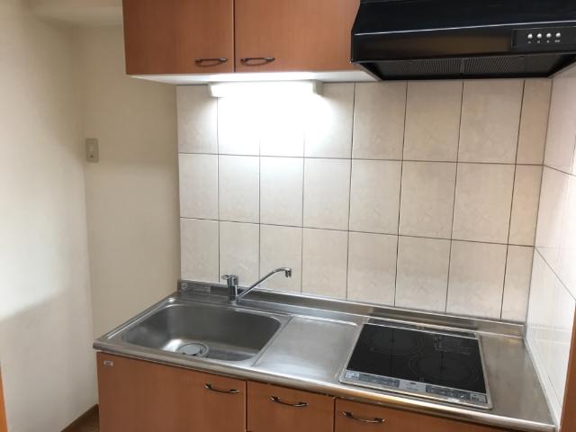 アリウス川崎 キッチン