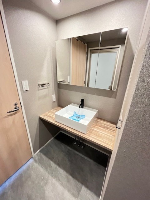 レジディアタワー上池袋（タワー棟）15階 洗面