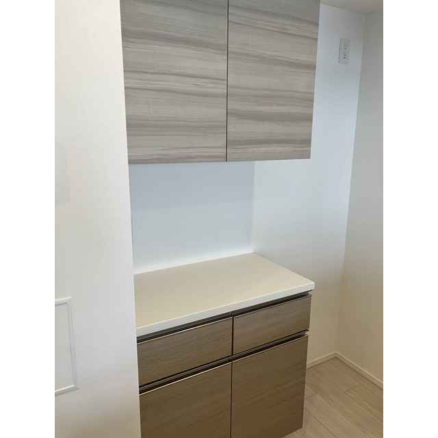 ザ・パークハビオ本所吾妻橋801号室 食器棚・2026年1月31日撮影