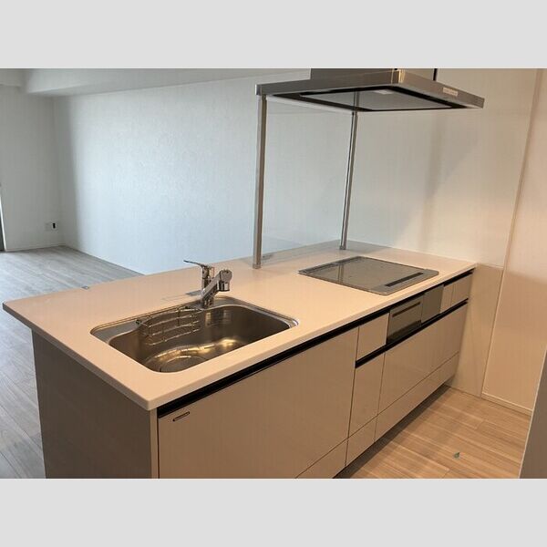 THE RejuvePort KISARAZU1007号室 システムキッチン