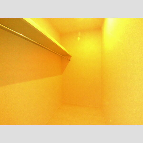 maison楓Ⅲ ウォークインクローゼット