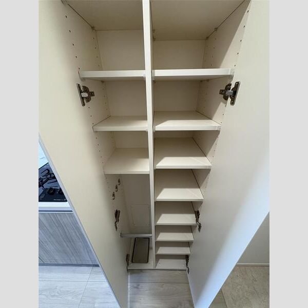 MAXIV横浜吉野町TRE704号室 洗面