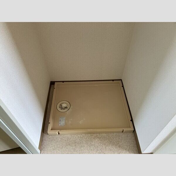 ハイムカメリア209号室 室内洗濯機置場