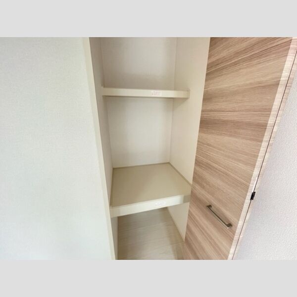 ロイジェントパークス レイクタウン Ⅱ　J 物入