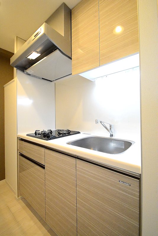 ステージファースト上野松が谷アジールコート ※カラータイプ異なります。