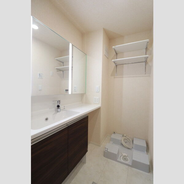 シェーンブルーメ横浜303号室 洗面