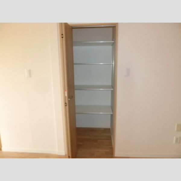 ドリームシティ　A クローゼット(リビング)