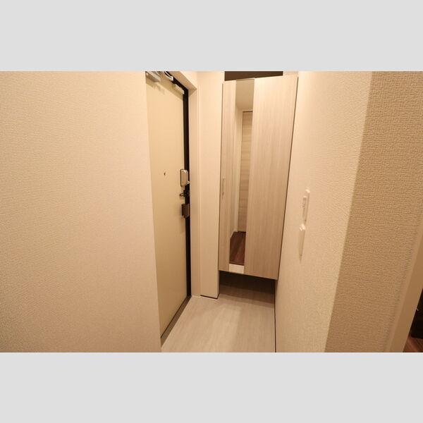 D-ROOM新宿Ⅰ-A101号室 玄関