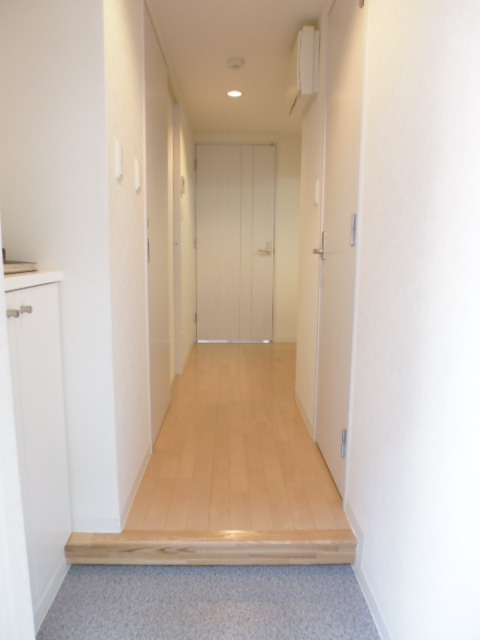 トレセリア大和田0406号室 玄関