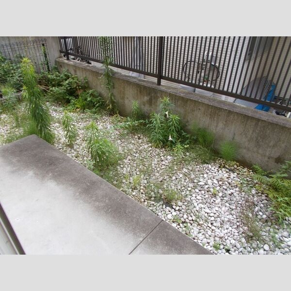 クロノス102号室 テラス