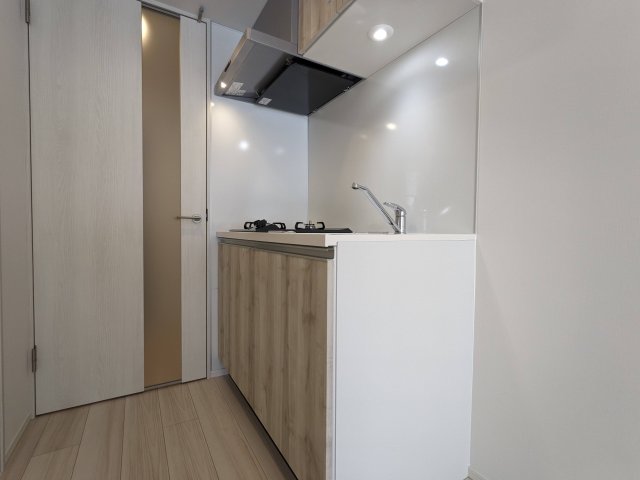 ハーモニーレジデンス蒲田アートヴィラ0503号室 お風呂