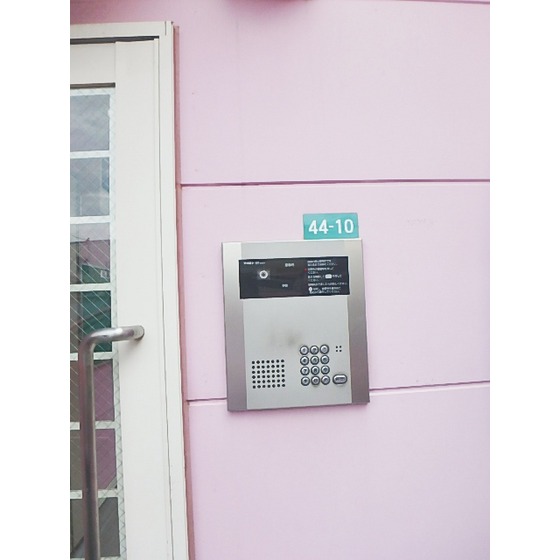 グレースミニヨン205号室 エントランス