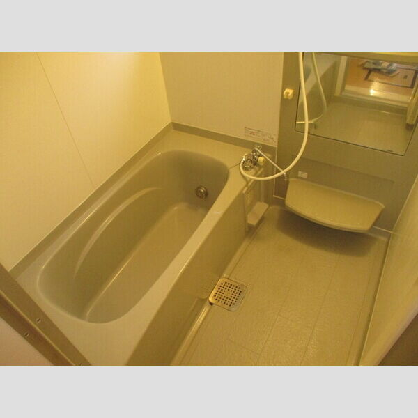 ヴェルドミール　壱番館 浴室