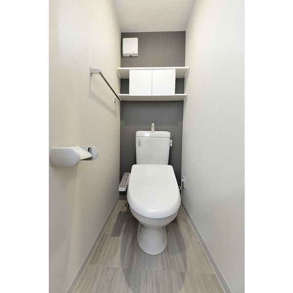 クリオ　ラモード学芸大学Ⅱ0304号室 トイレ