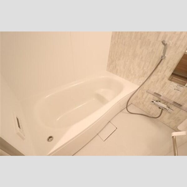 Noble Ferro C棟202号室 浴室