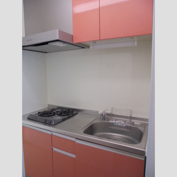 ザーパト・ポーリェ102号室 キッチン
