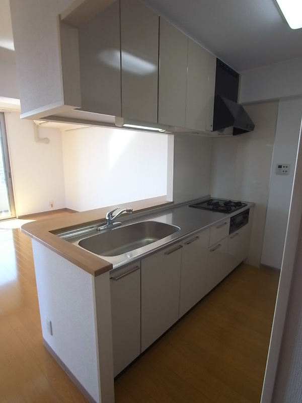 ロングエイトⅢ9階 キッチン