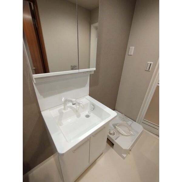 Ambition古千谷本町301号室 洗面